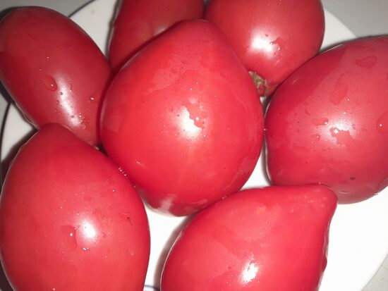 Бычье сердце Энгурских холмов